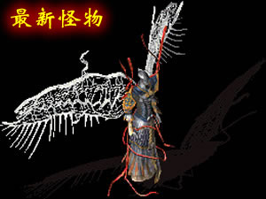 武易传奇黄金套装